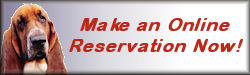 Make on online reservation now